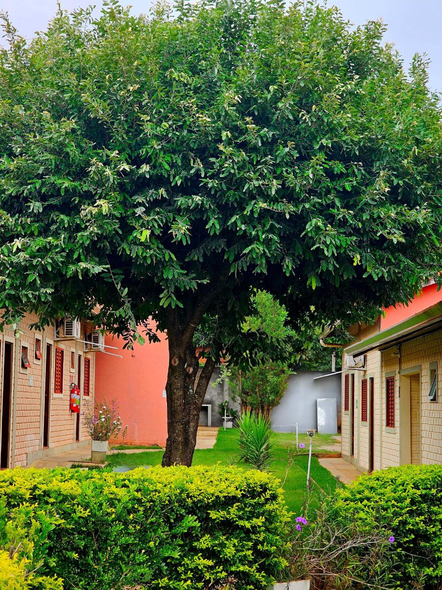 Bonito Hi Hostel E Pousada Экстерьер фото